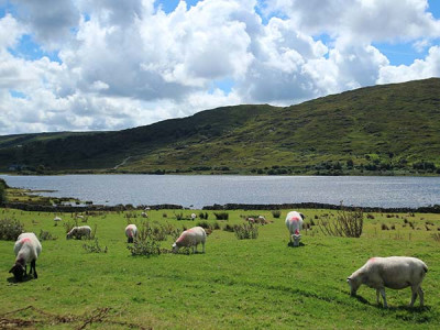 Irland