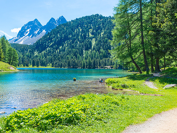 Path  across the lake. Wild meadow flowers. Forest landscape in summer. Walk in the canton of Grisons.